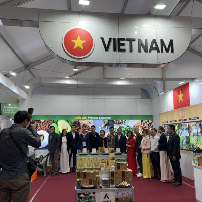 Mật Ong Hoa Cà Phê Jade Mountain Nguyên Chất Thu Hoạch Tự Nhiên Chất Lượng Cao 380ml