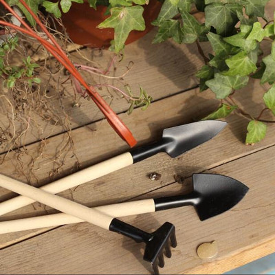 Bộ Dụng Cụ Làm Vườn Mini 3 Món (Cuốc, Xẻng, Cào) Cán Gỗ Tiện Lợi Cho Việc Trồng Chăm Sóc Cây Cảnh, Sen Đá, Xương Rồng, Bonsai