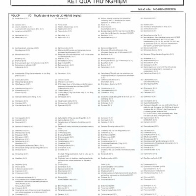GẠO HỮU CƠ QUẢNG TRỊ  TỐT CHO NGƯỜI TIỂU ĐƯỜNG, GÚT VÀ BÉO PHÌ TÚI 5 KG