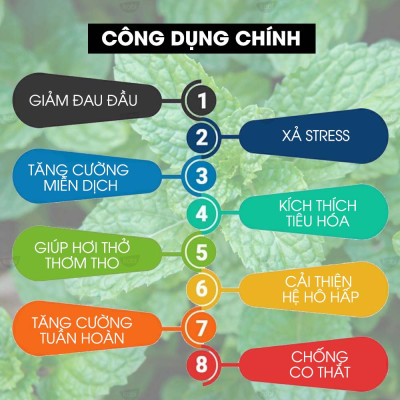 Tinh Dầu Cam Ngọt Kobi - Tinh Dầu Thiên Nhiên Nguyên Chất, Giúp Giảm Stress, Xua Đuổi Côn Trùng Và Khử Mùi Hiệu Quả, Thích Hợp Dùng Với Đèn Xông Và Máy Khuếch Tán  Tinh Dầu