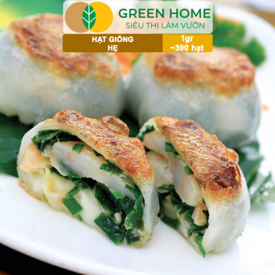 Hạt Giống Hẹ Cao Sản GreenHome, Gói 1g~300 hạt, Dễ Trồng, Nảy Mầm Cao, Thu Hoạch, Năng Suất Cao G04