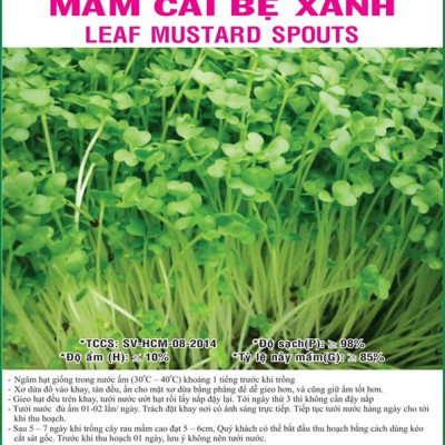 Hạt giống rau mầm cải bẹ xanh VTS170