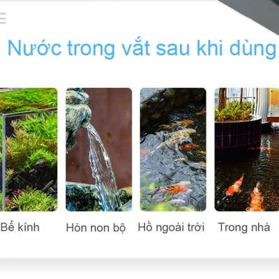 TN2B Seaweed - Thuốc Diệt Ký Sinh Trùng Ở Cá & Diệt Khuẩn, Rêu Tảo Trong Nước 500ml Loại Tốt 