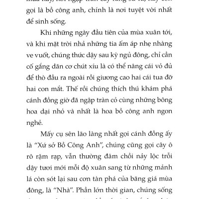 Chuyện Con Ốc Sên Muốn Biết Tại Sao Nó Chậm Chạp (Tái Bản 2022)
