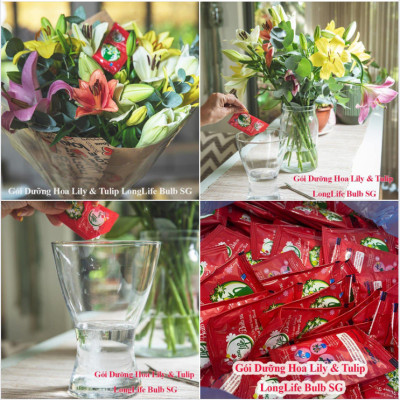 Thuốc cắm hoa Lily lâu tàn nhập khẩu Israel (1 hộp 5 gói  pha 50L nước că) hiệu Longlife Bulbs Premium 2023 giúp hoa tulip và hoa lily tươi gấp 2 lần và 14 ngày không thay nước