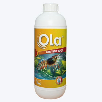 OLA - GAN THẢO DƯỢC: Tăng cường chức năng gan, phục hồi tế bào gan, ổn định gan tụy