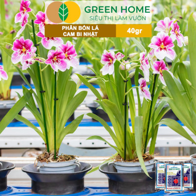 Phân Bón Lá Trung Vi Lượng CamBi Nhật, GreenHome,Gói 40Gr, Siêu Tăng Trưởng Cho Cây Trồng