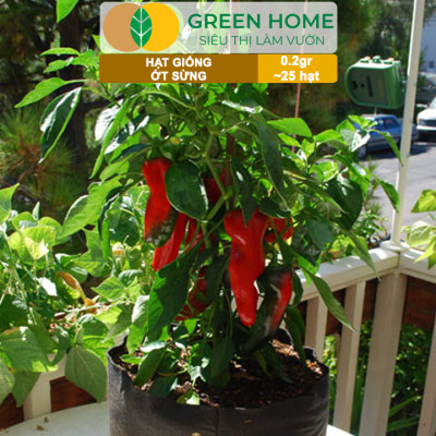 Hạt Giống Ớt Sừng Greenhome, Gói 0,2g~25 hạt, Dễ Trồng Quanh Năm,Thu Hoạch Nhanh, Năng Suất Cao G15