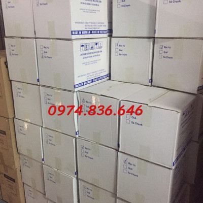 ( SẢN PHẨM SINH HỌC) Thảo mộc 10S đậm đặc 100ml - Chế phẩm diệt Ruồi - Muỗi - Kiến - Gián