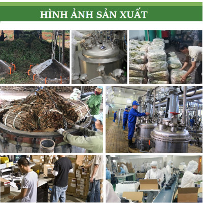 Tinh dầu Cam ngọt 50ml nguyên chất từ thiên nhiên, thơm phòng, xông phòng, đuổi muỗi, khử mùi - KingOil