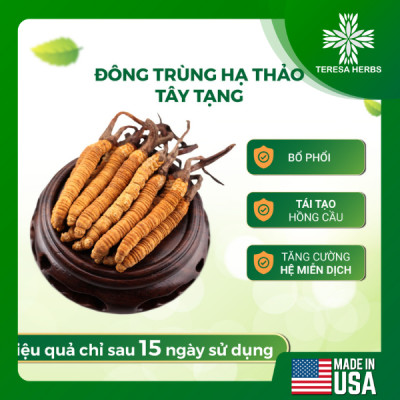 Combo viên uống thảo dược (kết hợp Đông Trùng Hạ Thảo + Nấm Vân Chi) - Giúp Bổ phổi, Bổ Thận, Tăng cường đề kháng và hệ miễn dịch